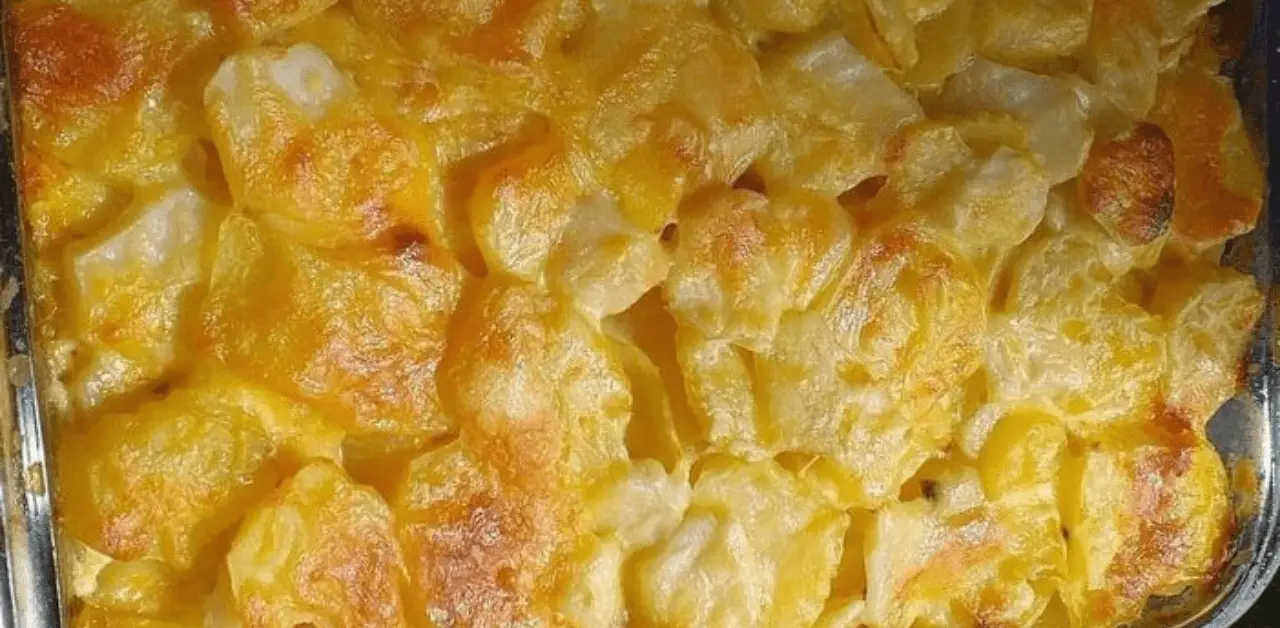 Potato & Cheese Bake Recipe